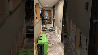 Water Damage Restoration  How To Prevent Mold Growth With Air Movers [upl. by Ellener]