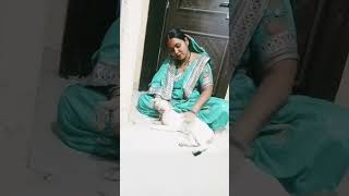 chandaniyalori lorivideo ytshortsvideo salitarajbhar [upl. by Ajim]