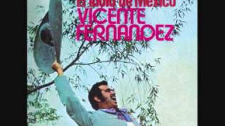 Mis Ojos Me Denuncian  Vicente Fernandez [upl. by Sagerman]