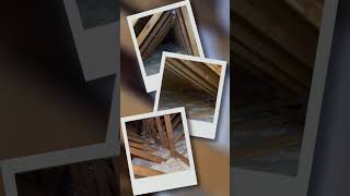 EcoFriendly and Safe Attic Insulation atticinsulation certainteed [upl. by Baird]