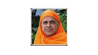 Swami Ramesvarananda Saraswathi BG class verse 34 and 35 28 4 24 [upl. by Joellen803]