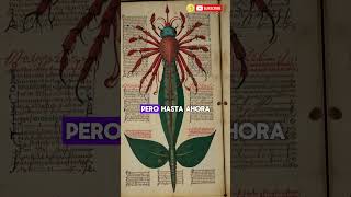 El Libro Más Misterioso del Mundo El Manuscrito Voynich voynich [upl. by Anrol]