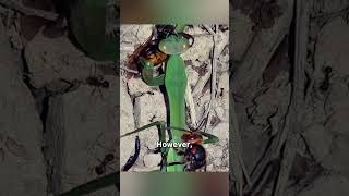 Wasp Fights Praying Mantis to Save Friend [upl. by Orsola]