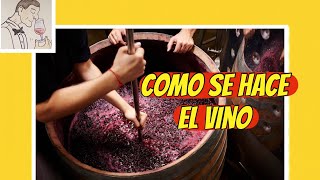 26 COMO SE HACE EL VINO [upl. by Judah84]