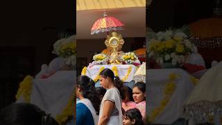 CONFRATERNITY SUNDAY ✨️✝️manjeshwara youtubeshorts jesus prayer shortsvideo likesubscribe [upl. by Anrak]