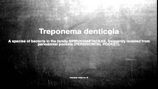 Medical vocabulary What does Treponema denticola mean [upl. by Adamson726]