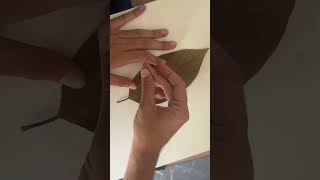 Let’s make herbarium today  veterinary neet veterinarystudent trending viralvideo [upl. by Oeram287]