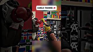 Canelo Training 🥊🔥 canelo boxing shorts [upl. by Aufmann774]