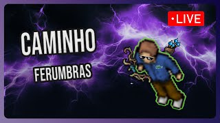 Caminho Ferumbras tibia [upl. by Alleiram797]