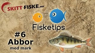 Fisketips 6 med Skitt Fiske  Abborfiske med mark [upl. by Taft]