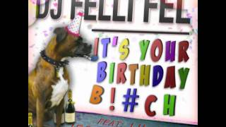 DJ Felli Fel feat Lil Jon amp Jessie Malakouti  quotIts Your Birthday Btchquot Clean [upl. by Craggie]