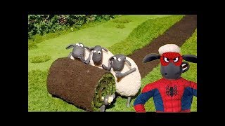 NEW Shaun The Sheep Full Episodes  Shaun The Sheep Cartoon Best Compilation 1 Hours Non Stop 4 [upl. by Nelyag863]