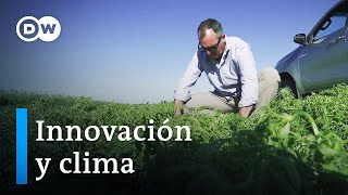 Por qué los agricultores argentinos afirman que son más innovadores [upl. by Ayek]