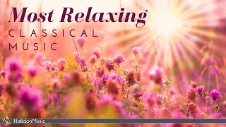 The Most Relaxing Classical Music Pieces [upl. by Ranitta]