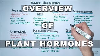 Plant Hormones  Types and Functions [upl. by Nylad]