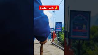 To way to kedarnath kedarnathyatra kedarnathdham kedarnathstatus trending mountains shorts [upl. by Mandal]