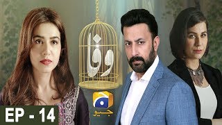 Wafa  Episode 14  HAR PAL GEO [upl. by Neelia872]