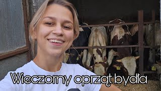 ★Wieczorny oprząt krów i byków★Codzienne obowiązki na Kaszubach★ [upl. by Sanger]