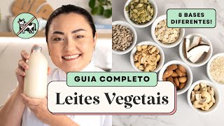 COMO FAZER LEITE DE COCO AVEIA CASTANHA E MAIS APRENDA 8 LEITES VEGETAIS BARATOS [upl. by Mcarthur879]