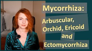 Mycorrhiza Arbuscular Orchid Ericoid and Ectomycorrhiza Characteristics and Features [upl. by Yeldua28]