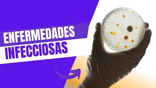 Emisión en directo  Enfermedades infecciosas  Parte 2  Patología 2024B [upl. by Latsryk974]