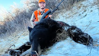 Black Bear Hunting In The Colorado Mountains Catch Clean Cook Rendering Bear Grease [upl. by Mian]