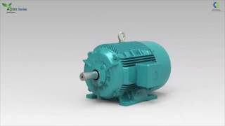 CG Crompton Greaves Electric Motors [upl. by Beera]