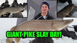 Ice Fishing For GIANT PIKE  SLAY DAY [upl. by Alin]