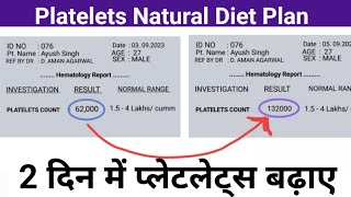 2 दिन में प्लेटलेट्स बढ़ाए  Platelets Count  प्लेटलेट्स बढ़ाने का Natural Diet plan [upl. by Bordie]