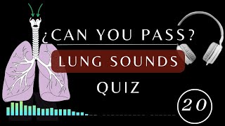 Name That Lung Sound Quiz  Normal and Abnormal lung sounds types respiratory [upl. by Sherry]