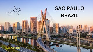 Journey through São Paulo  Brazils largest city [upl. by Kala187]