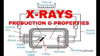 How an Xray Tube Works  Production of Xrays [upl. by Aneeb331]