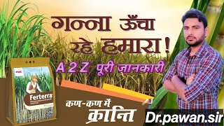 Ganne mein Fatera Dalne ka Sahi Samay aur Tarika  Life of Farmingquot [upl. by Atsilac]