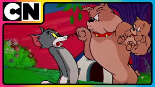 Tom amp Jerry 😺🐭 Jerry’s Sneaky Tricks Revealed 😜 Cat and Mouse Funny Video  cnindia [upl. by Lemay]