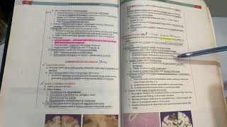 Pathoma Chapter 17 CNS pathology Part 02 [upl. by Aihsat727]