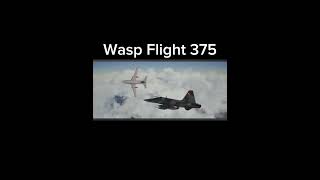 VASP Flilght 375 capcut aviation plane planecrash heros [upl. by Esinad]