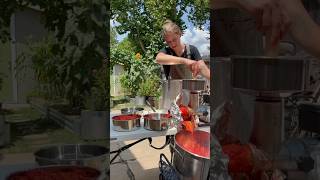 Preserving Tomatoes  Lets Make Sauce backyardgardening growyourownfood backyardhomestead [upl. by Enitsahc]