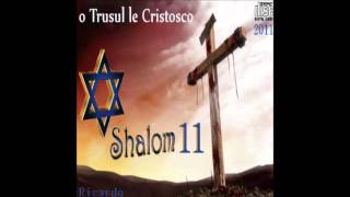 Ricardo Kwiek Shalom 11track 2 [upl. by Florinda]