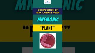 Composition of Mac Conkey Agar shorts mnemonic aimsexam aimsexampreparation academically [upl. by Abisia]