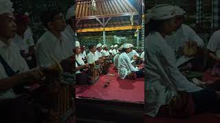 tradisi bali ngayah angklung bali balinesetradition [upl. by Llorrac822]