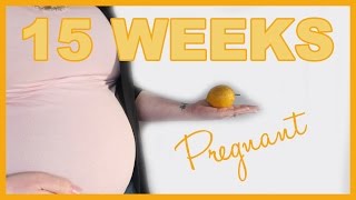 15 Weeks Pregnant  PO Box Mybaby 3D Anatomy scan [upl. by Llehsad]