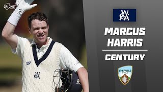 Harris dominates Tigers en route to seventh Junction Oval ton  Sheffield Shield 202425 [upl. by Ecydnac]