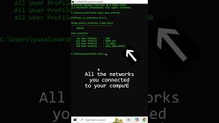 CMD network password hack [upl. by Filiano]