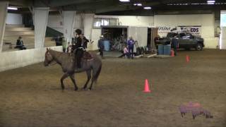 Stock Seat Equitation 2017 WAHSET Pattern [upl. by Lekar3]