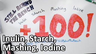 Ep 016  Inulin Starch Mashing and the Iodine Test [upl. by Sucramat]