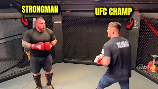 STRONGMAN Eddie Hall FIGHTS UFC CHAMPION UNRELEASED SPARRING FOOTAGE [upl. by Ydner]