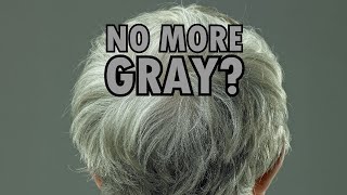 A Study Says Gray Hair May Be Reversible Due To Stem Cells [upl. by Enehpets506]