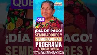 ¡CORRELE ya esta el pago para el programa Sembrando Vida [upl. by Adler]