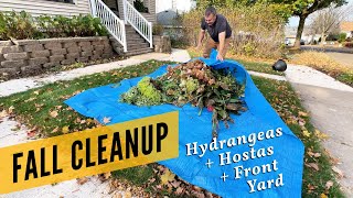 Fall Cleanup My New Hydrangeas Hosta and Front Yard [upl. by Trevar]