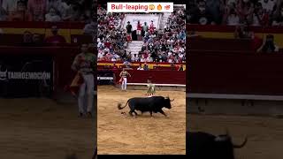 Bullfighting in spanish 🔥💯💯😲 bull [upl. by Cowley]